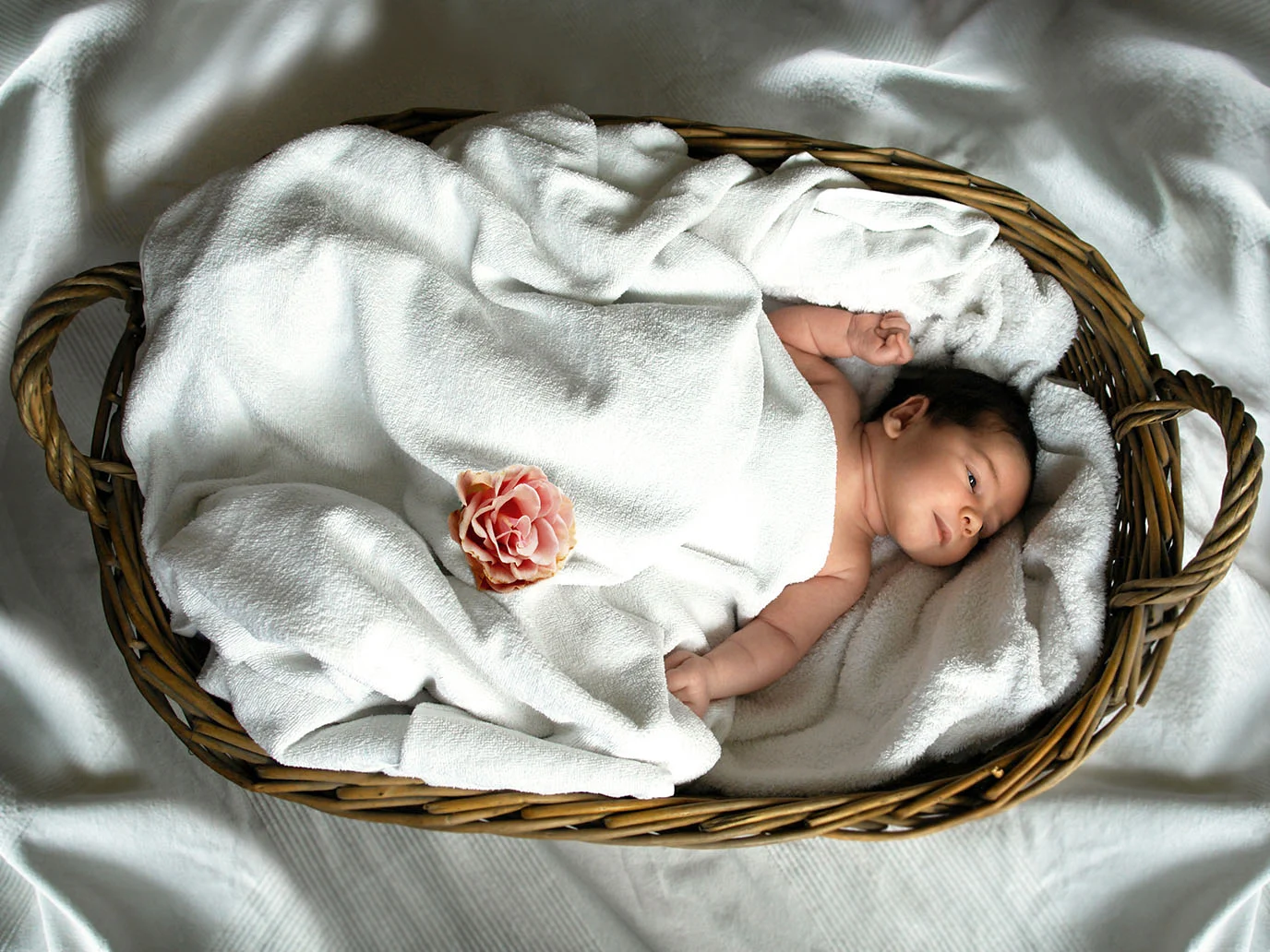 Ein Baby liegt in einem Korb, zugedeckt mit einer weißen Decke. Es liegt eine große rosa Rose auf der Bettdecke. Das Baby blickt neugierig zur Seite.