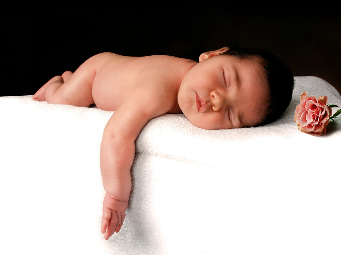 Ein Baby liegt auf dem Bauch auf einem weißen Bett. Neben dem Kopf liegt eine große rosa Rose. Das Baby träumt entspannt vor sich hin.